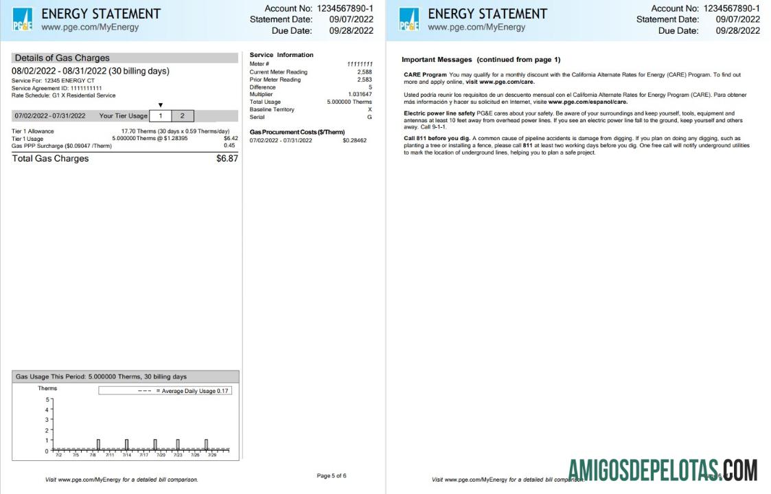 Em branco EUA Califórnia PG&E (Pacific Gas And Electric Company) Conta de serviços públicos, modelo Word e PDF, 6 páginas 5 6